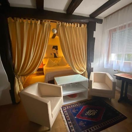 River Side Appartment Huningue Bagian luar foto