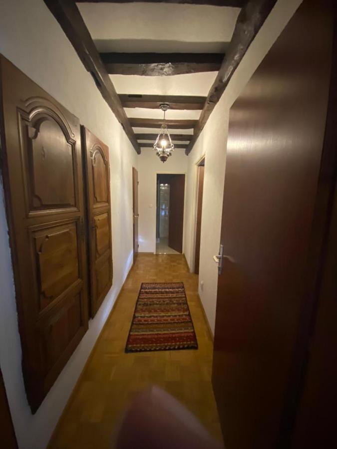 River Side Appartment Huningue Bagian luar foto
